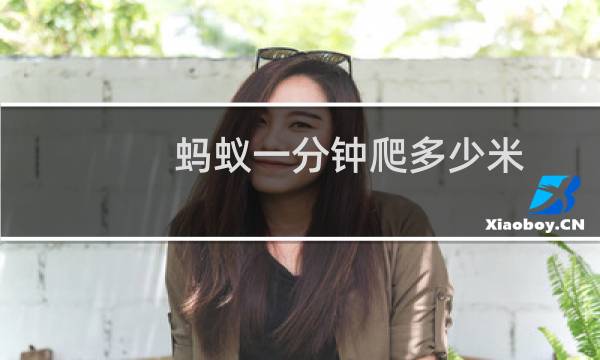 蚂蚁一分钟爬多少米