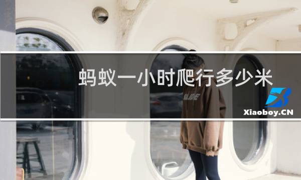 蚂蚁一小时爬行多少米