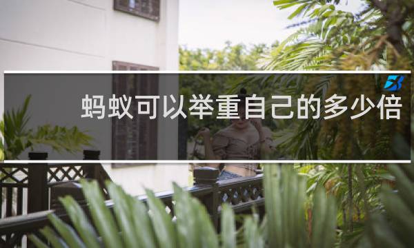 蚂蚁可以举重自己的多少倍