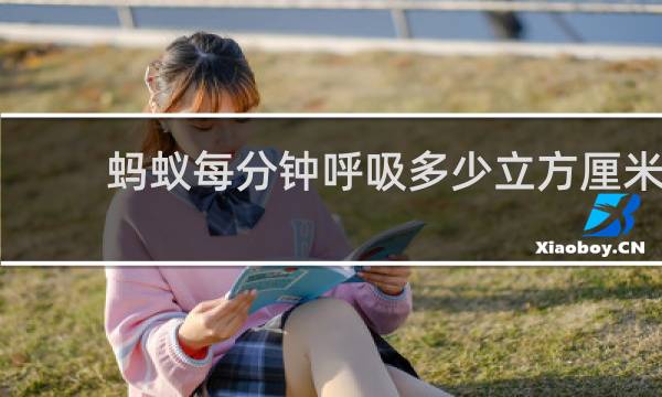 蚂蚁每分钟呼吸多少立方厘米