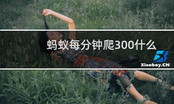 蚂蚁每分钟爬300什么