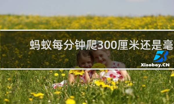 蚂蚁每分钟爬300厘米还是毫米