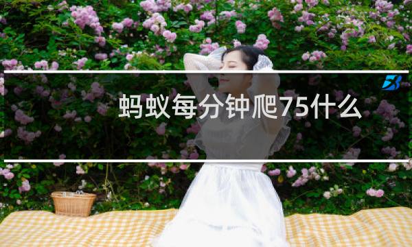 蚂蚁每分钟爬75什么