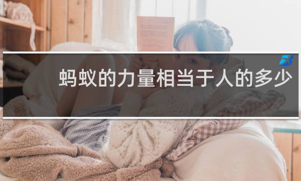 蚂蚁的力量相当于人的多少