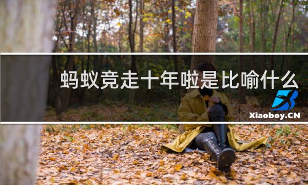 蚂蚁竞走十年啦是比喻什么
