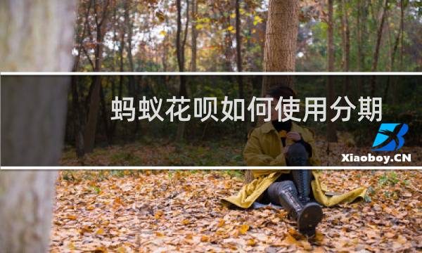 蚂蚁花呗如何使用分期付款？