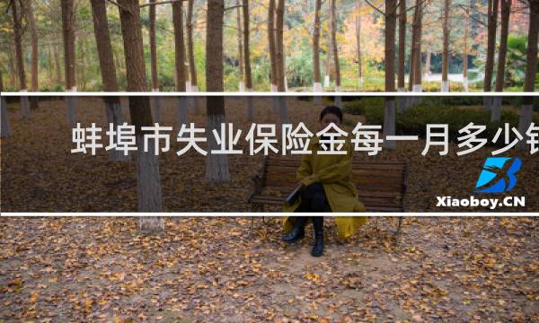 蚌埠市失业保险金每一月多少钱