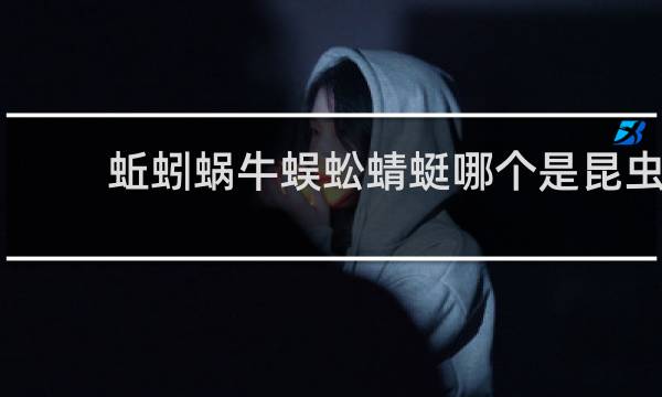 蚯蚓蜗牛蜈蚣蜻蜓哪个是昆虫