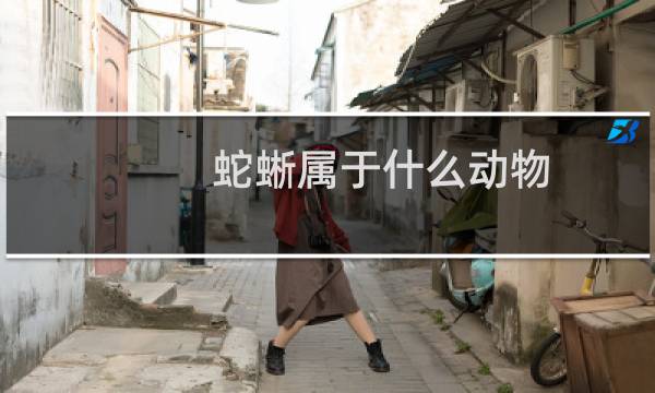 蛇蜥属于什么动物(蛇蜥蜴是什么动物和蛇的区别)