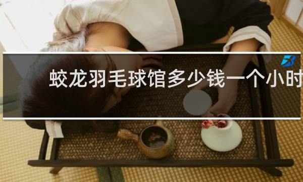 蛟龙羽毛球馆多少钱一个小时