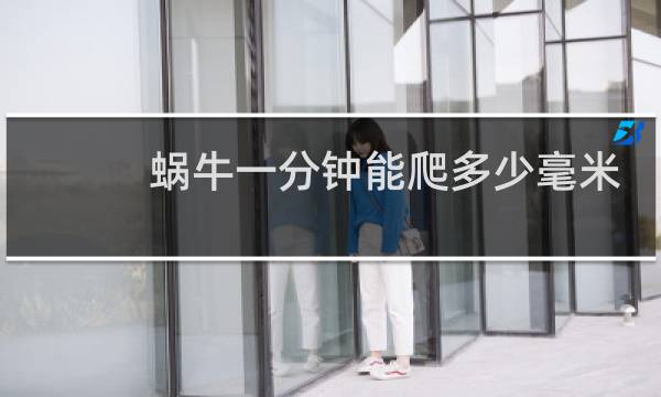 蜗牛一分钟能爬多少毫米