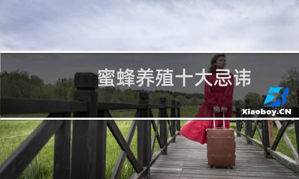 蜜蜂养殖十大忌讳