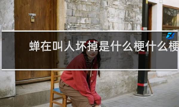 蝉在叫人坏掉是什么梗什么梗