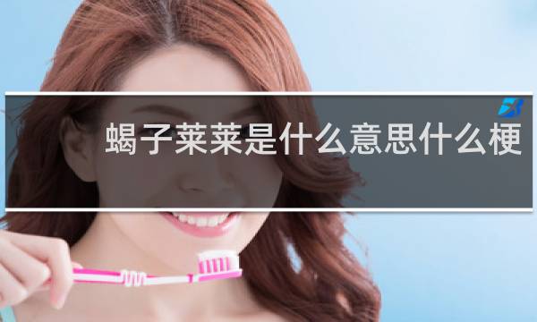 蝎子莱莱是什么意思什么梗