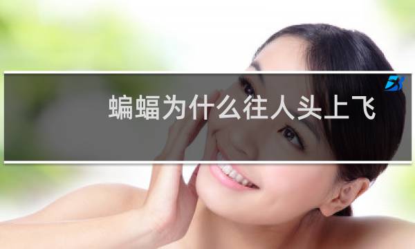 蝙蝠为什么往人头上飞