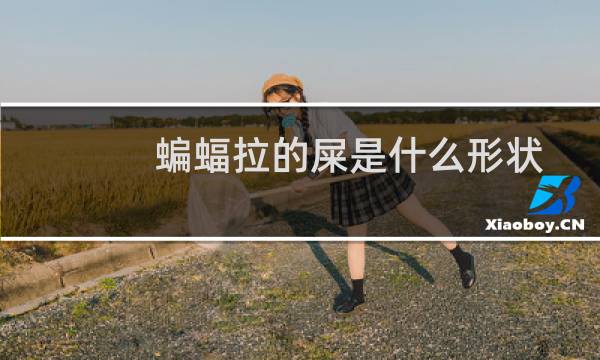 蝙蝠拉的屎是什么形状（蝙蝠拉的屎是什么样子）图片