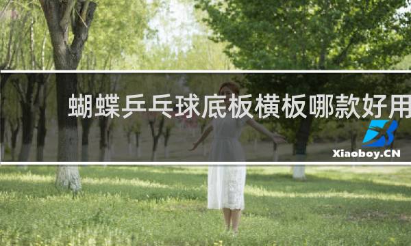 蝴蝶乒乓球底板横板哪款好用