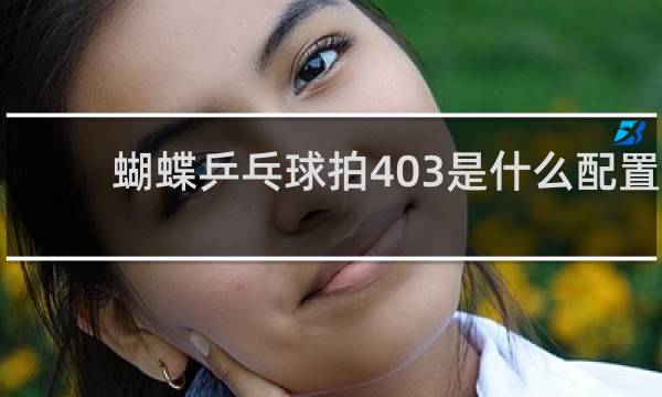 蝴蝶乒乓球拍403是什么配置