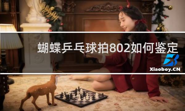 蝴蝶乒乓球拍802如何鉴定