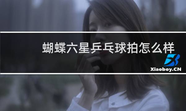 蝴蝶六星乒乓球拍怎么样