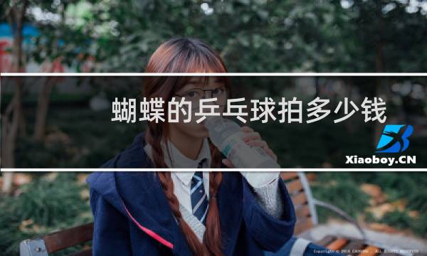 蝴蝶的乒乓球拍多少钱