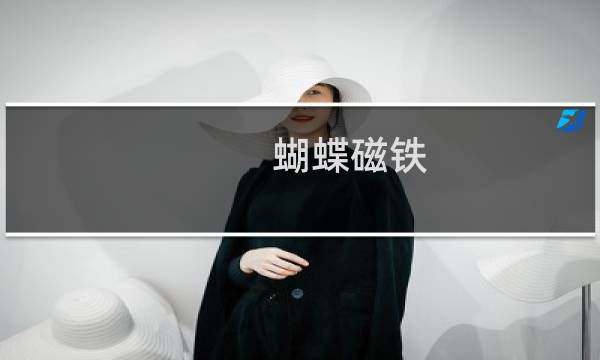 蝴蝶磁铁