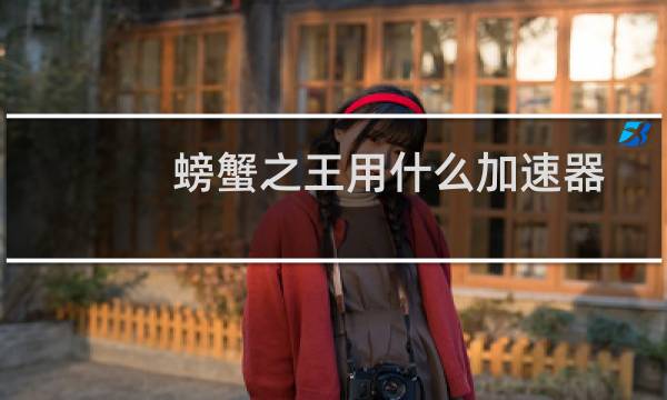 螃蟹之王用什么加速器