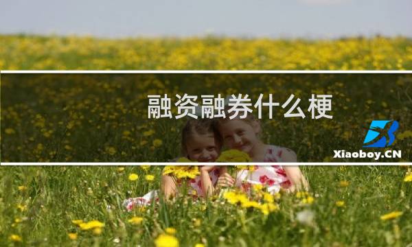 融资融券什么梗