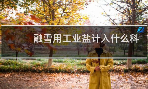 融雪用工业盐计入什么科目图片