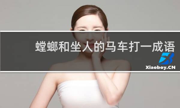 螳螂和坐人的马车打一成语