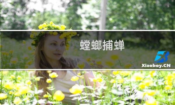 螳螂捕蝉，黄雀在后