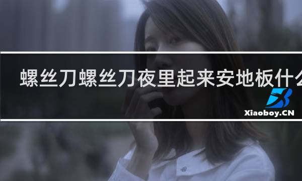 螺丝刀螺丝刀夜里起来安地板什么梗