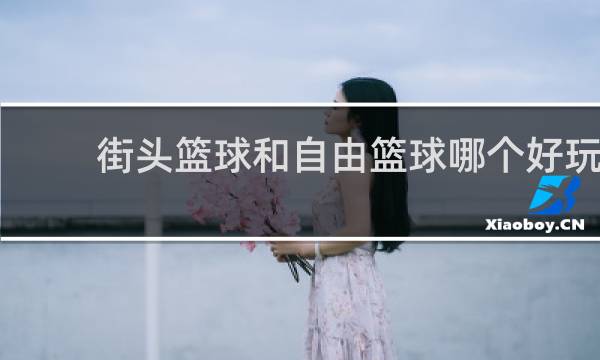 街头篮球和自由篮球哪个好玩