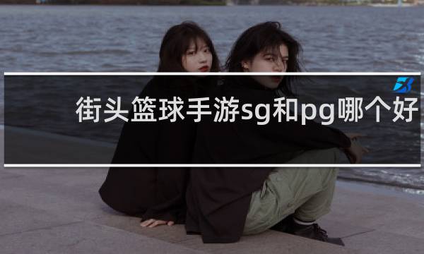 街头篮球手游sg和pg哪个好