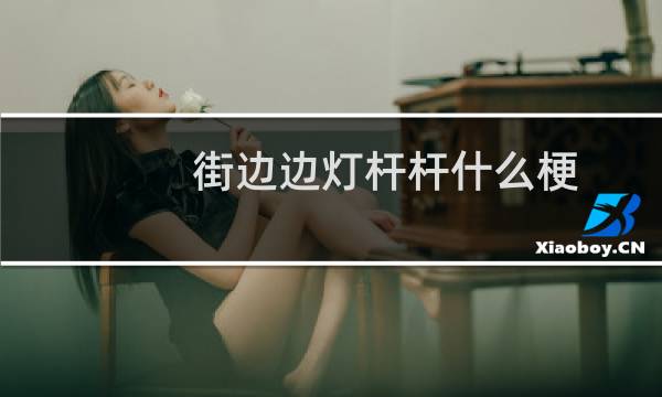 街边边灯杆杆什么梗？什么梗