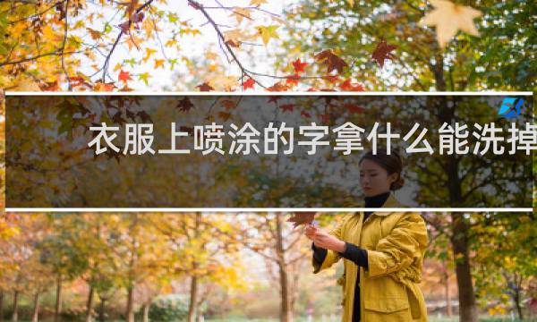 衣服上喷涂的字拿什么能洗掉