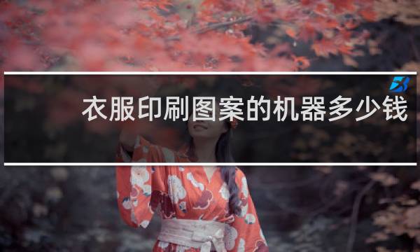衣服印刷图案的机器多少钱