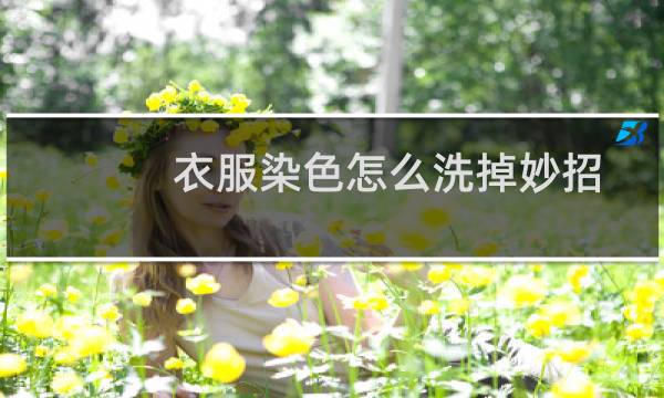 衣服染色怎么洗掉妙招（衣服染色怎么洗掉妙招）图片