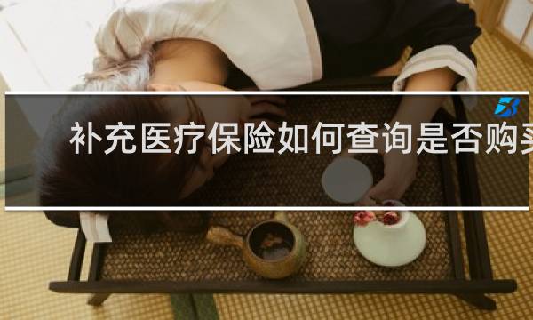 补充医疗保险如何查询是否购买