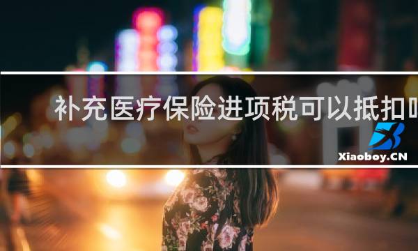 补充医疗保险进项税可以抵扣吗图片