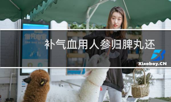 补气血用人参归脾丸还是人参养荣丸（补气血用人参健脾丸还是人参养荣丸）