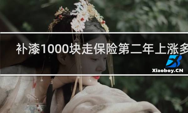 补漆1000块走保险第二年上涨多少图片