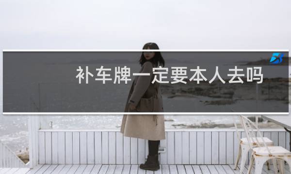 补车牌一定要本人去吗