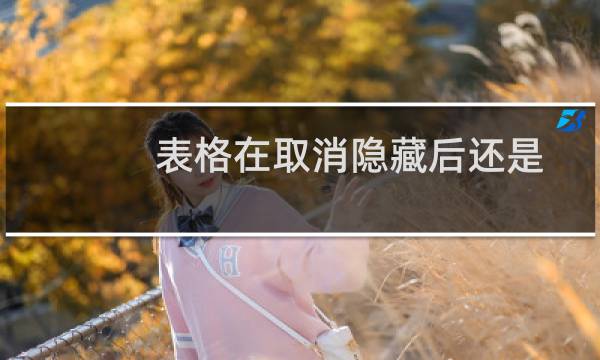 表格在取消隐藏后还是不显示的时候，怎么办呢？