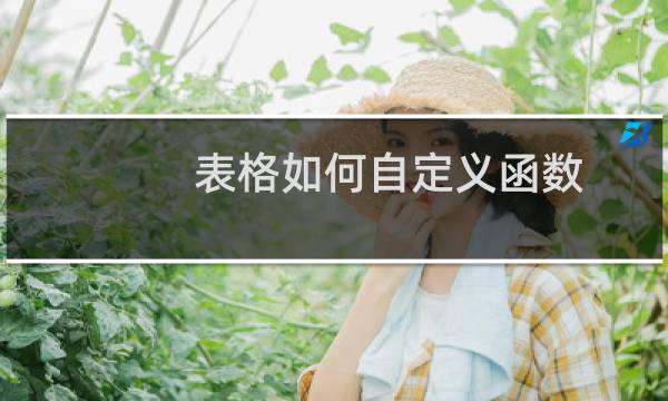 表格如何自定义函数（表格怎么自动做函数）
