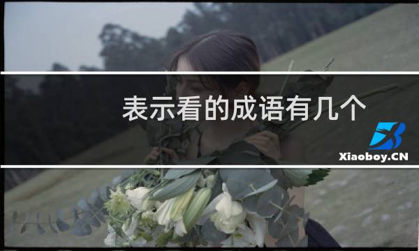 表示看的成语有几个（表示看的成语）