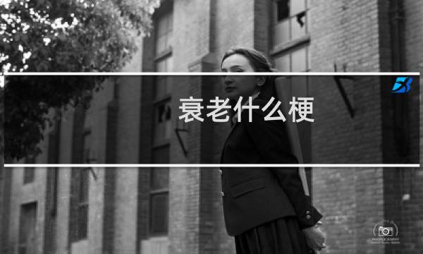 衰老什么梗