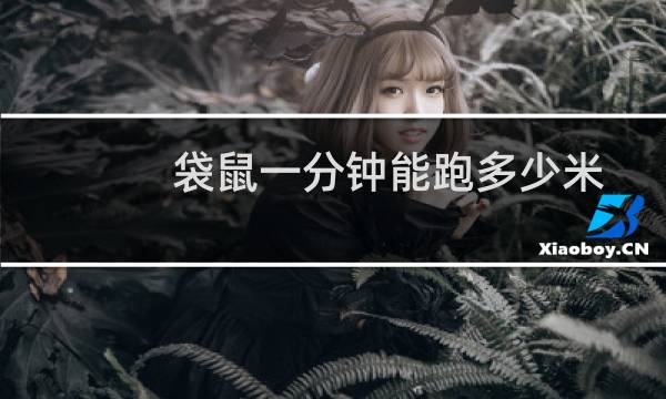 袋鼠一分钟能跑多少米