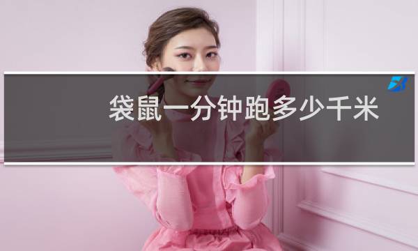 袋鼠一分钟跑多少千米