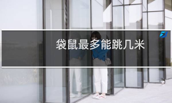 袋鼠最多能跳几米